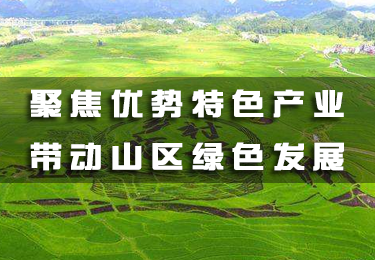 聚焦優(yōu)勢(shì)特色產(chǎn)業(yè) 帶動(dòng)山區(qū)綠色發(fā)展