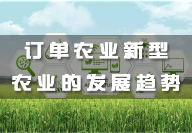 訂單農(nóng)業(yè)新型農(nóng)業(yè)的發(fā)展趨勢(shì)