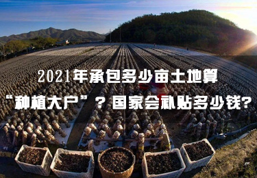 2021年承包多少畝土地算“種植大戶”？國(guó)家會(huì)補(bǔ)貼多少錢？
