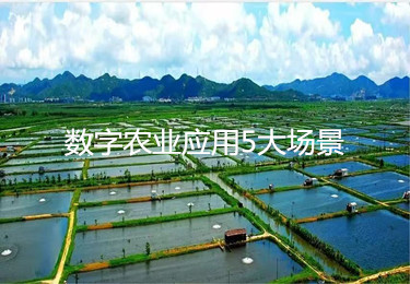 農業強國新圖景，數字農業應用5大場景