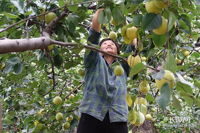 1596436278361983.jpg 1596436278361983.jpg