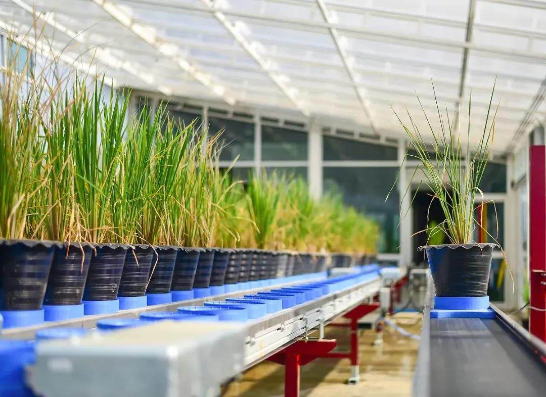 1598251825110501.jpg 1598251825110501.jpg