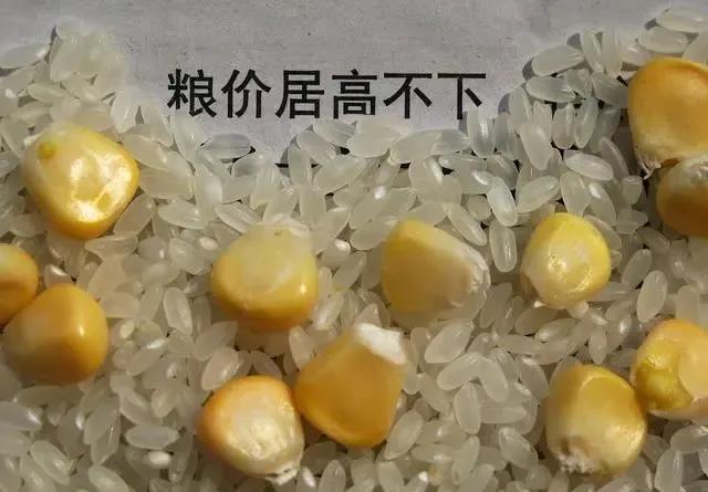 1603241817617936.jpg 1603241817617936.jpg