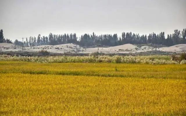 1603241951265893.jpg 1603241951265893.jpg