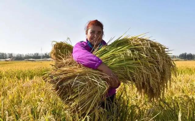 1603241992103753.jpg 1603241992103753.jpg