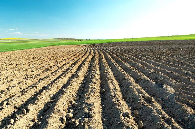 1611978394430317.jpg 1611978394430317.jpg